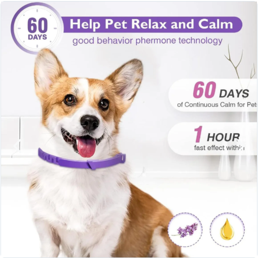 🟣 Collar Calmante con Feromonas – Tranquilidad Natural para tu Mascota 🐶🐱