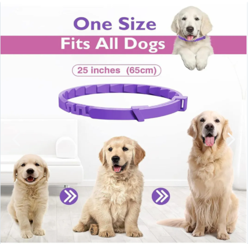 🟣 Collar Calmante con Feromonas – Tranquilidad Natural para tu Mascota 🐶🐱